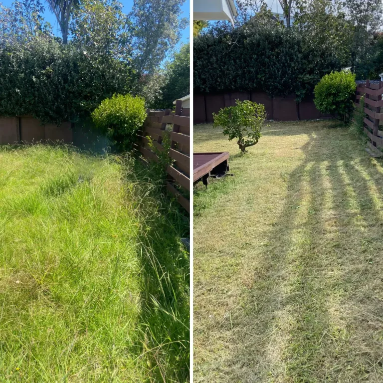lawn mowing before and after