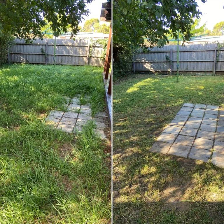 lawn mowing before and after