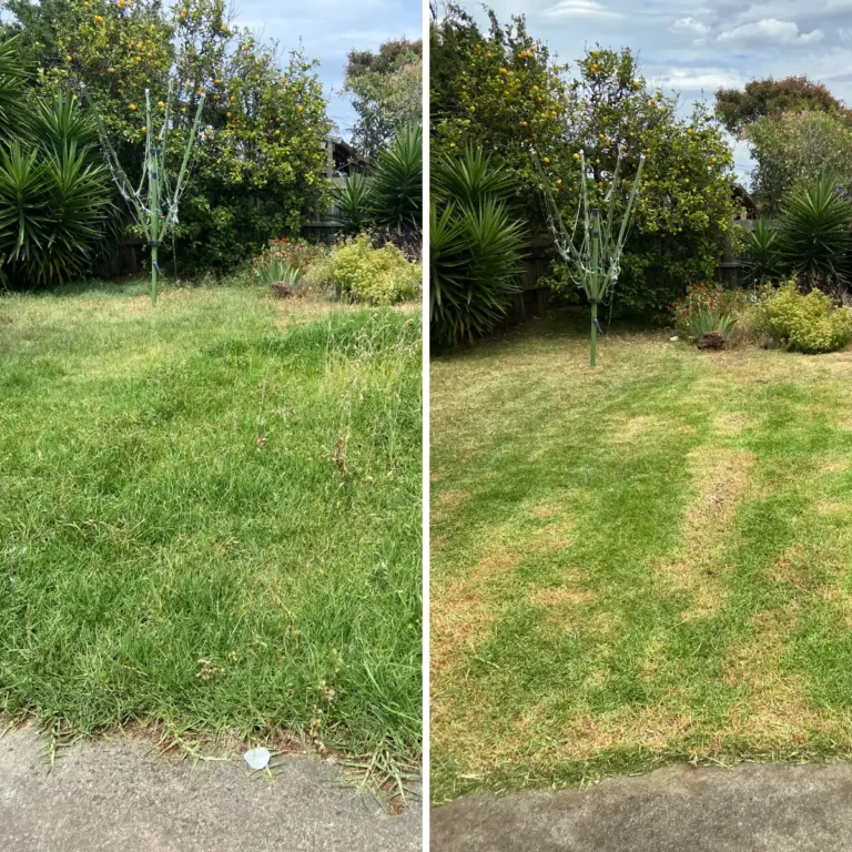 lawn mowing before and after