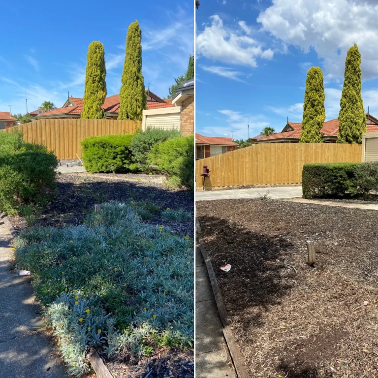 garden tidy up before and after