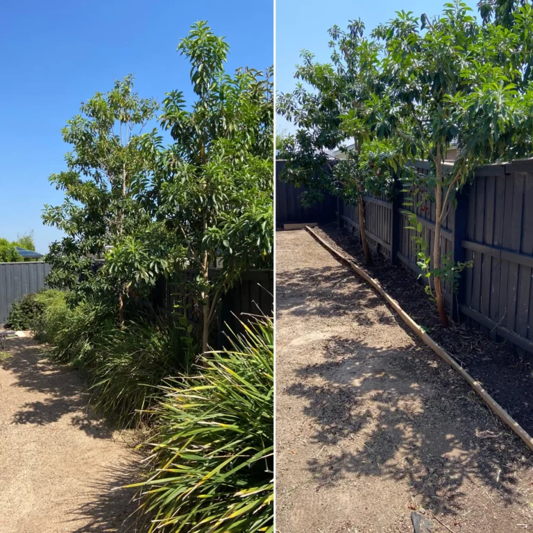 garden tidy up before and after
