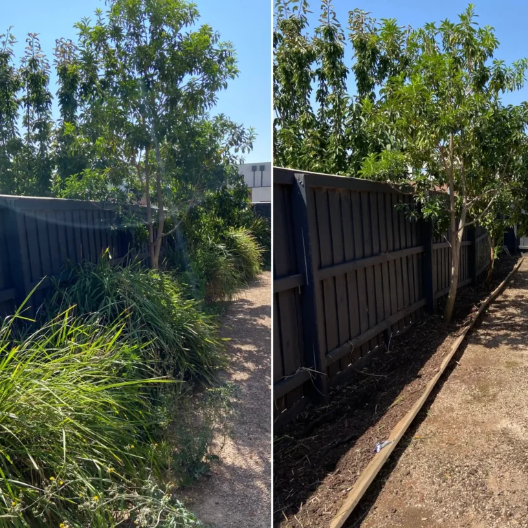 garden tidy up before and after