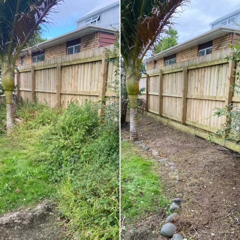 garden tidy up before and after