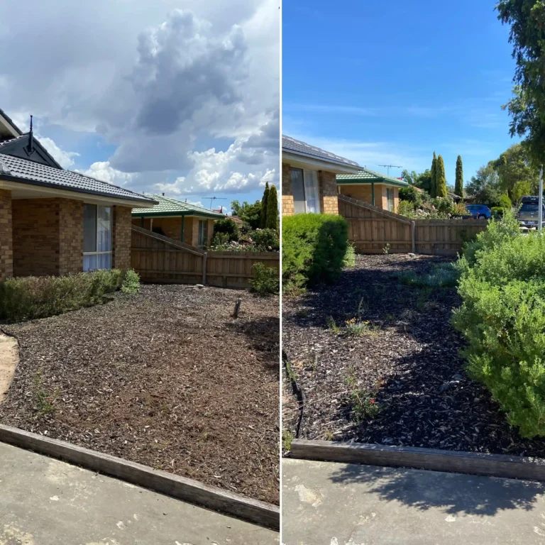 garden tidy up before and after