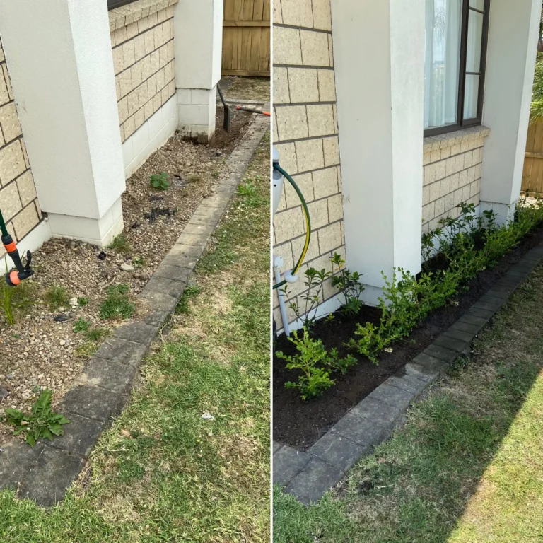 planting and mulching before and after