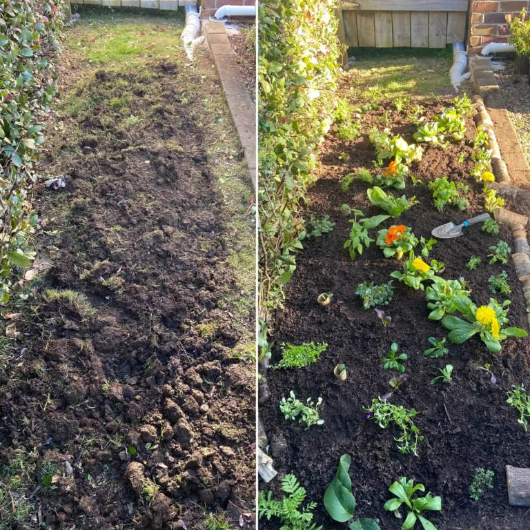 planting and mulching before and after - no dig garden bed