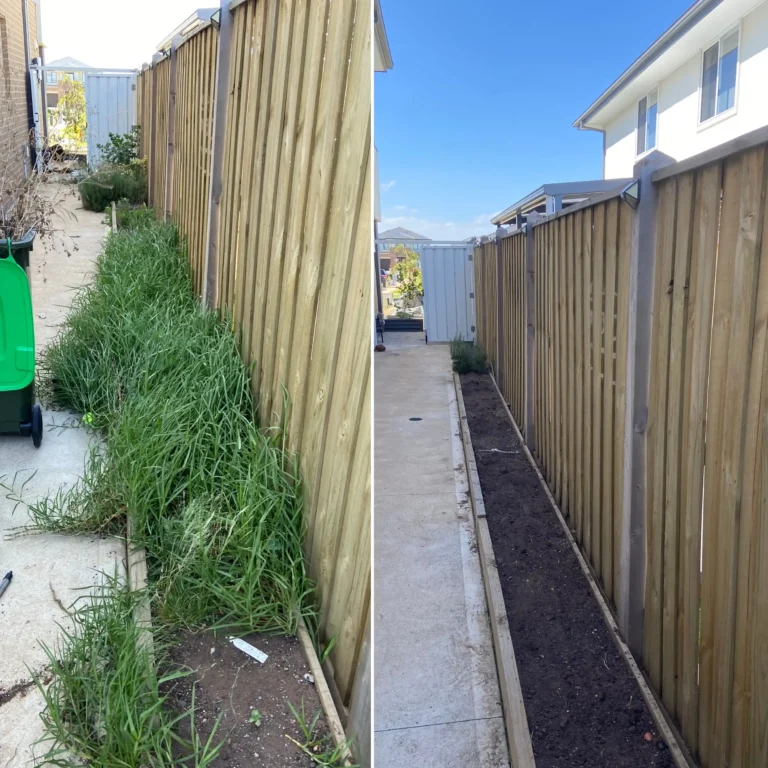 weeding and spraying before and after