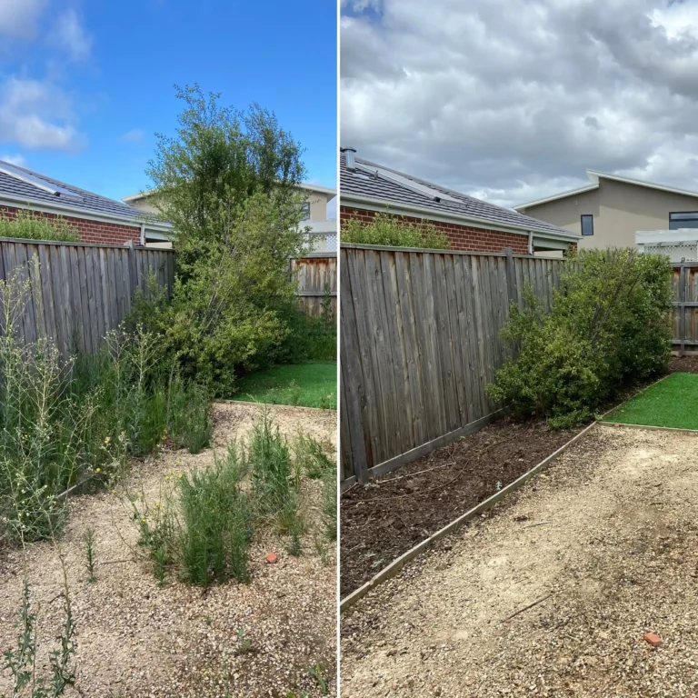 weeding and spraying before and after