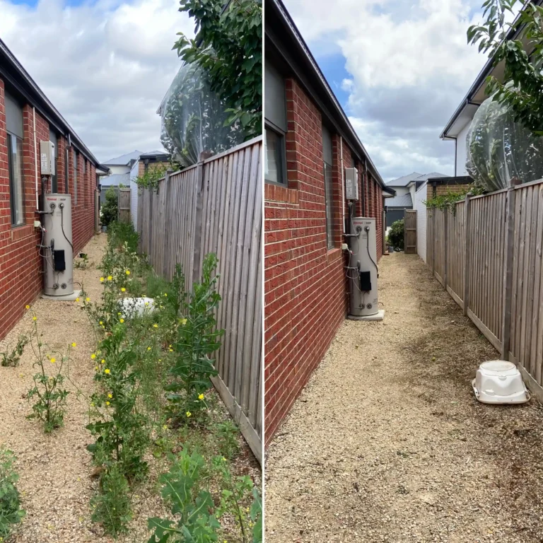 weeding and spraying before and after