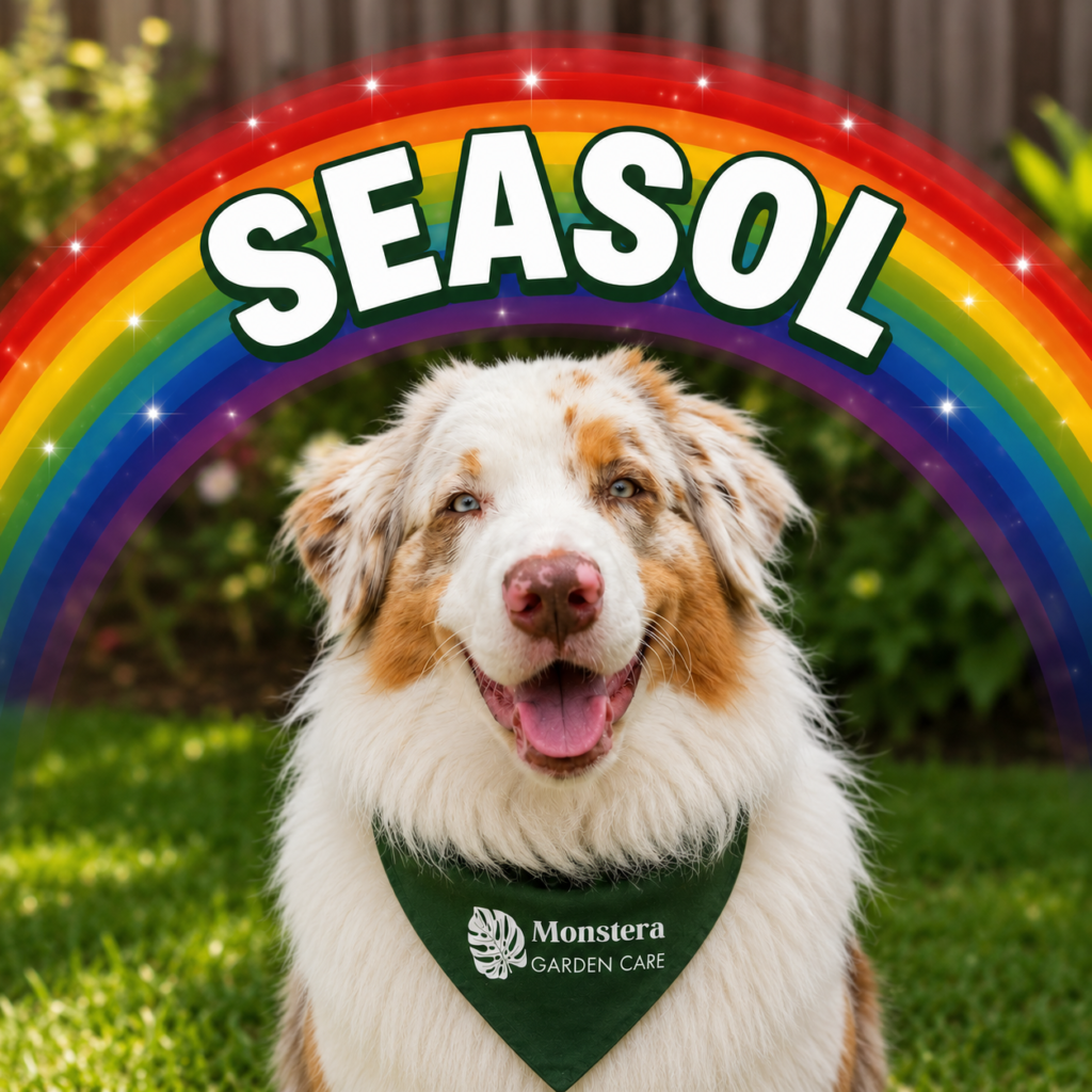 Charlie smiling with a Monstera garden care bandana and a rainbow above him that says Seasol