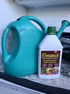 Seasol seaweed solution bottle and watering can in the Monstera Garden Care ute